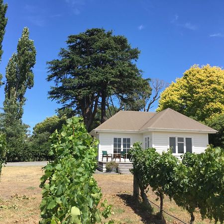 Tuki Vineyard Cottage Havelock North Bagian luar foto