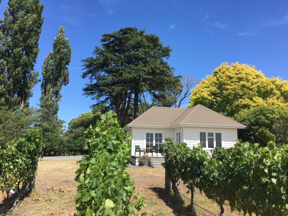 Tuki Vineyard Cottage Havelock North Bagian luar foto